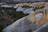 Escalante: Cedar Wash
