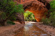 Coyote Gulch