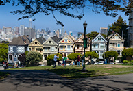 Painted Ladies