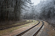 Ветка в Ожерелье