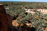 Siwa