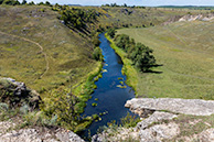 Воргол
