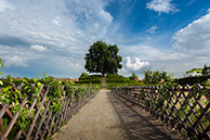 Kromeriz
