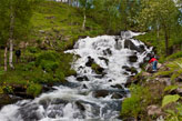 Tolga
