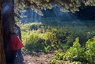 Сеня