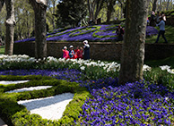 Park Gulhane