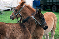 IMG_9169