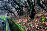 Levada 25 fountains