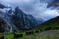 Bonatti