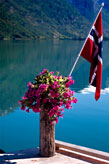 Stryn