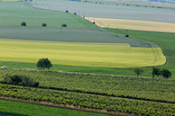 Velke Pavlovice