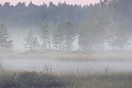 1I0A0648