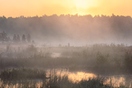 Галкинское болото