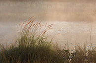 Рассвет на Галкинском болоте