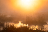 Рассвет на Галкинском болоте